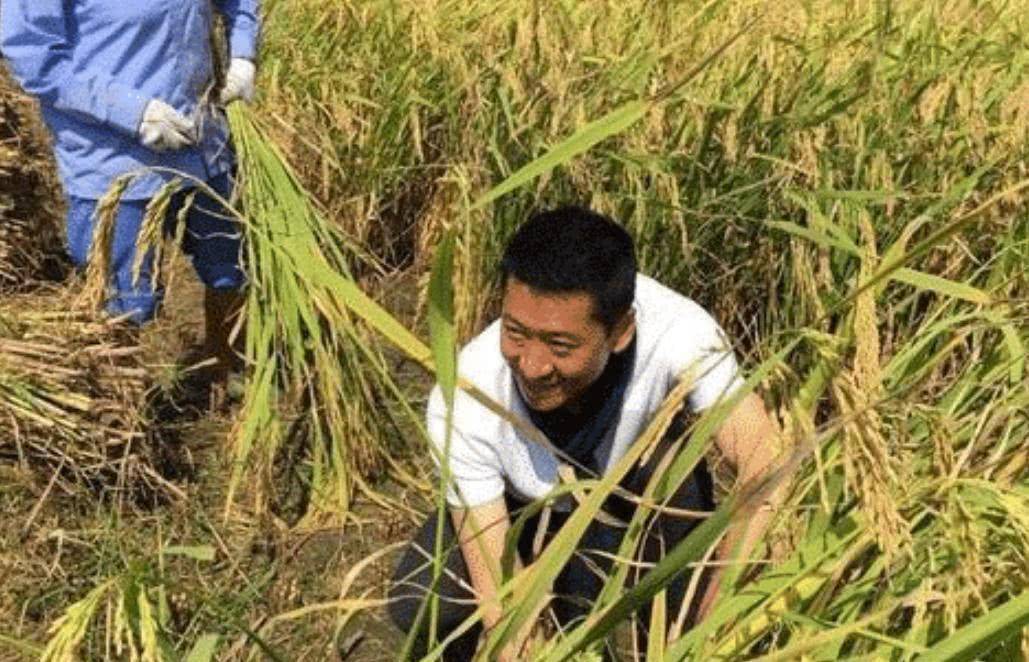 娱乐圈 欧巴_明星创业_娱乐界企业家